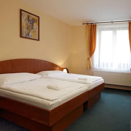 Hotel Palace 3*