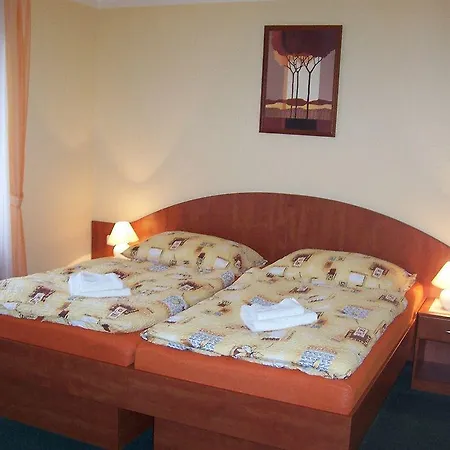 فندق Palace 3*