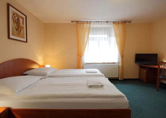 Hotel Palace 3*