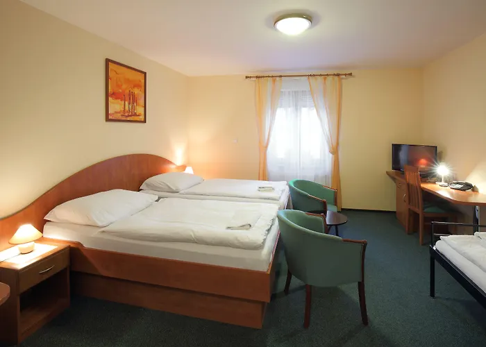 Hotel Palace 3*
