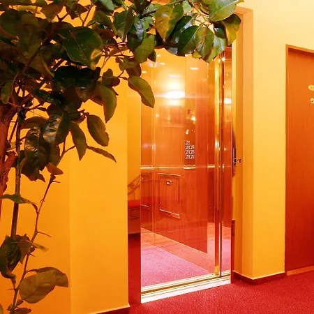 Hotel Palace 3*