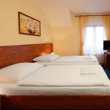 Palace 3* Plzeň